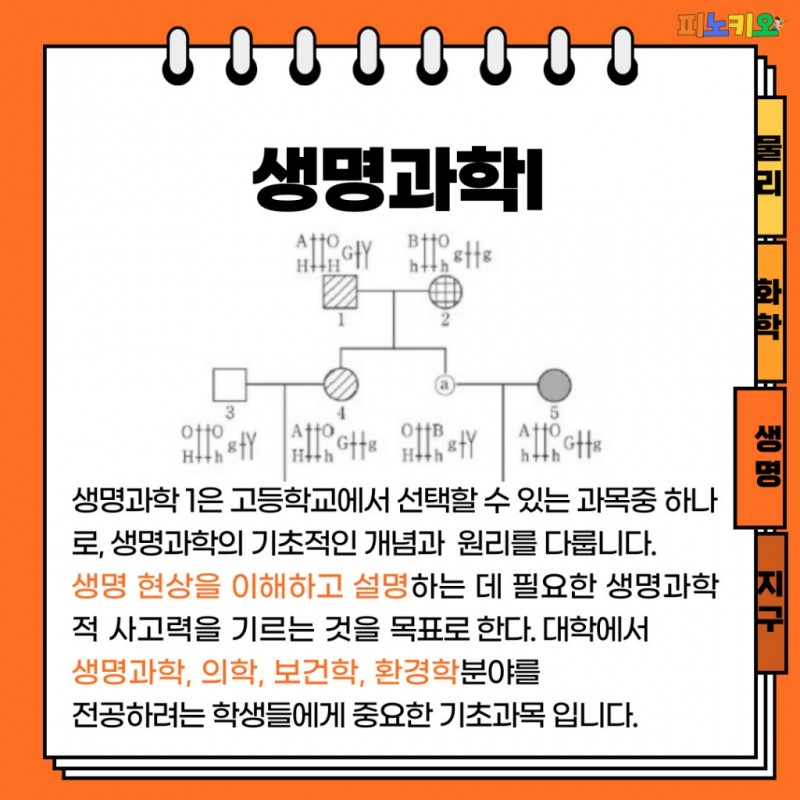 733a0d55b00d3fd8f8d793856ab478d8_1736234833_547.jpg